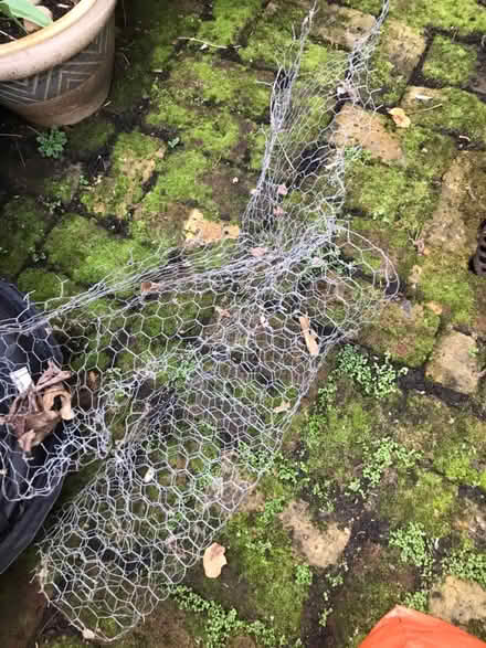 Photo of free Chicken wire (Shepherds Bush) #1
