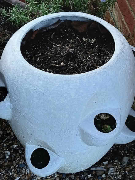 Photo of free Used strawberry planter - SL1 (Burnham) #1