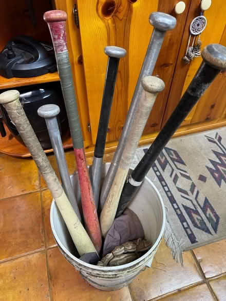 Photo of free Baseball bats (Brigadoon neighborhood) #1