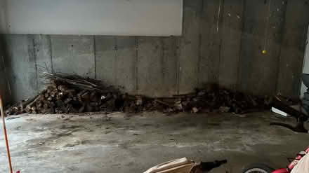 Photo of free dry firewood (Groton near Shaw’s) #1