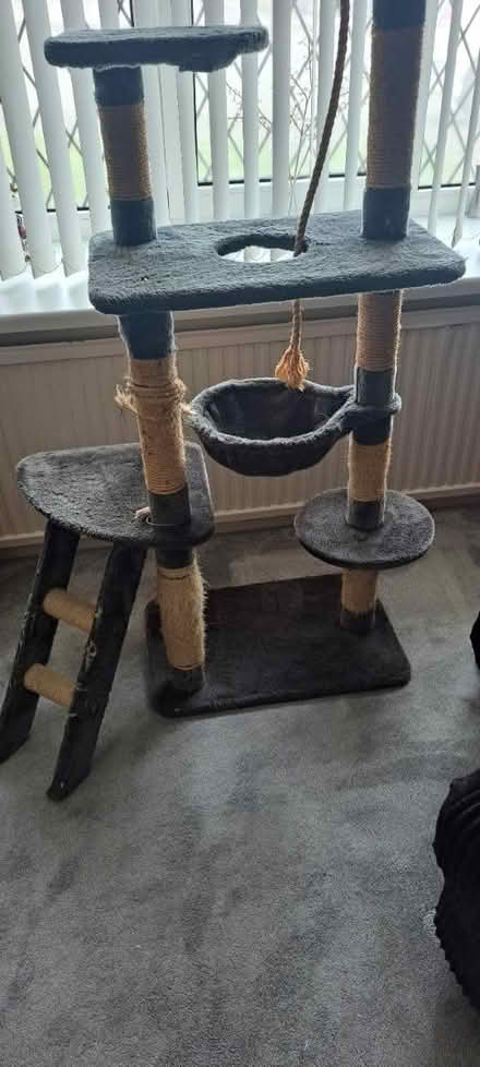 Photo of free Large Cat Post (Bramley S66) #2