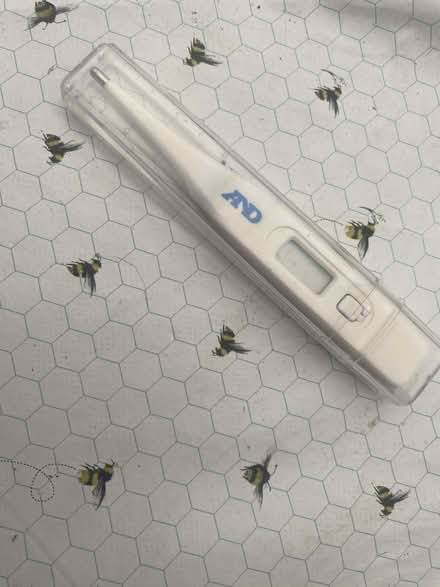 Photo of free Thermometer (Ware SG12) #1