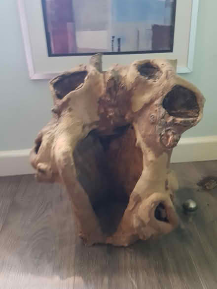 Photo of free Tree Stump (BA1) #2