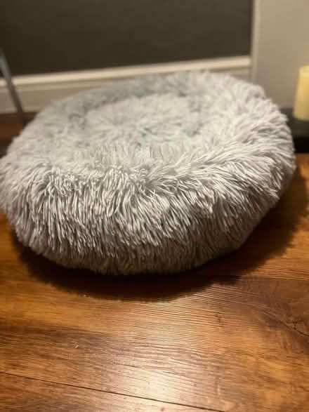 Photo of free Bed for a small dog or cat (Hoddesdon EN11) #1