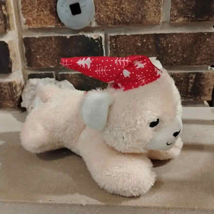 Photo of free Christmas Themed Stuffed Dog (Darien) #1