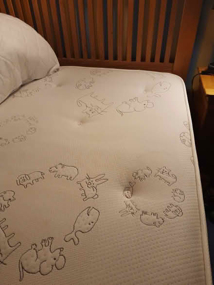 Photo of free Single divian bed and mattress (Bebington CH63) #1