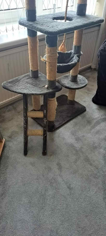 Photo of free Large Cat Post (Bramley S66) #3