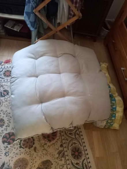 Photo of free Cushion for big dog (Downhead Park MK15) #1