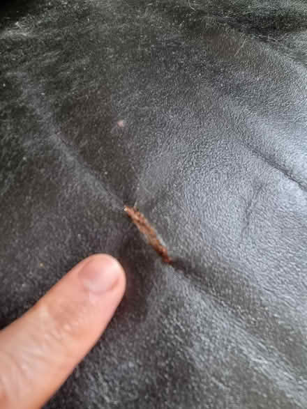 Photo of free 3 seater sofa (Walkley Sheffield S6) #2