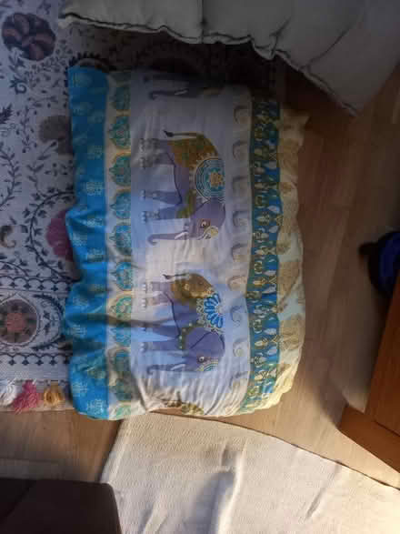 Photo of free Cushion for big dog (Downhead Park MK15) #2