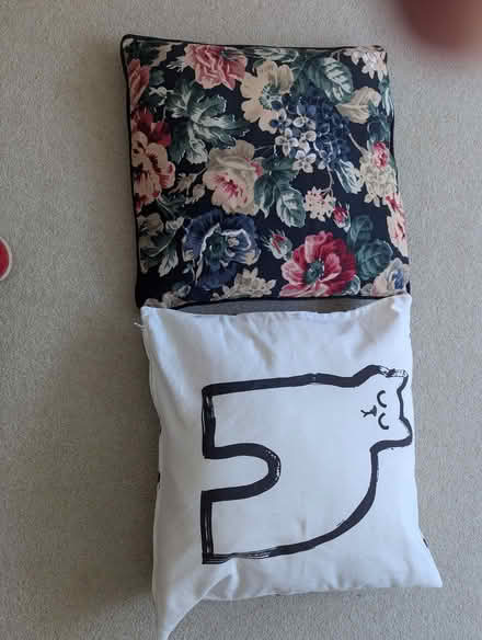 Photo of free Two cushions (Portslade by Sea BN3) #1