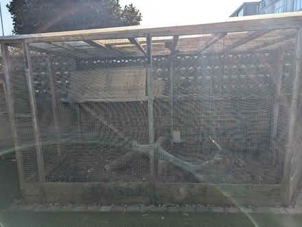 Photo of free Chicken coop (Whitehawk BN2) #3