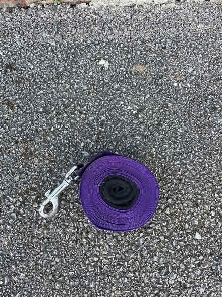 Photo of free Long lead for dog or puppy (Leckhampton) #1