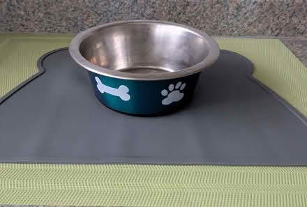 Photo of free Dog Bowl and Mat (Beulah Hill SE19) #1