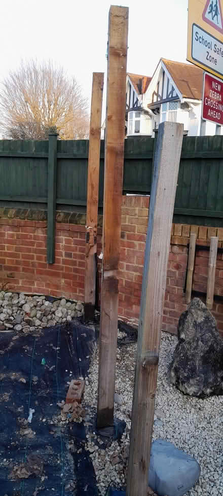 Photo of free Treated timber and more - all sound (Eastbourne BN22) #3