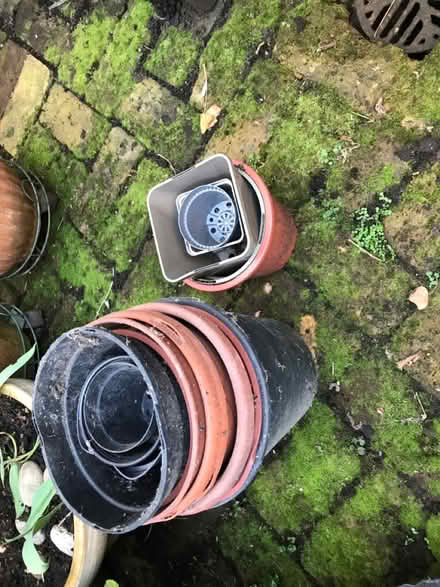 Photo of free Plastic pots (Shepherds Bush) #1