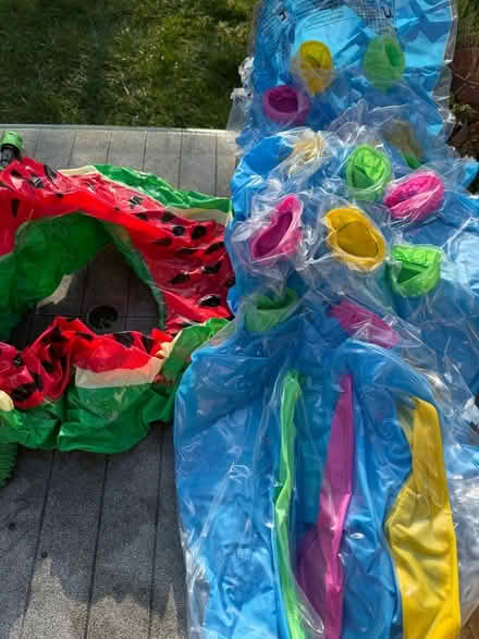 Photo of free Inflatable ring and 6ft lilo (Woodley RG5) #1