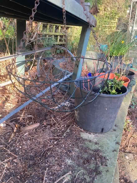 Photo of free Wire hanging basket (Pannal HG2) #1