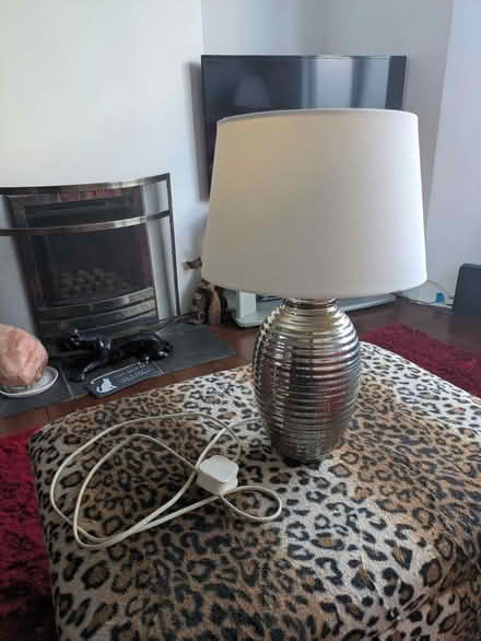 Photo of free Table lamp (Brighton BN2) #1