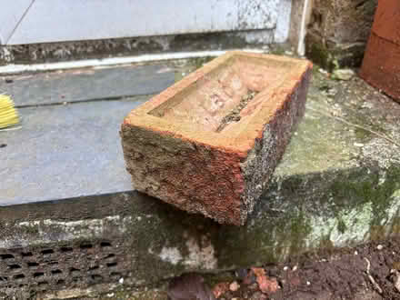 Photo of free LBC textured bricks (Gosport town PO12) #3