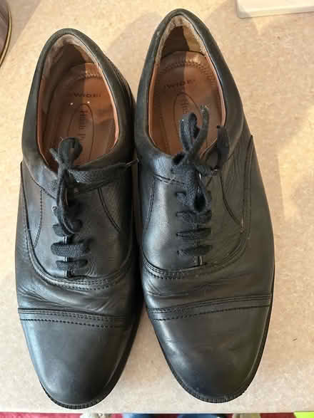 Photo of free Hush puppy shoes (Writtle CM1) #1