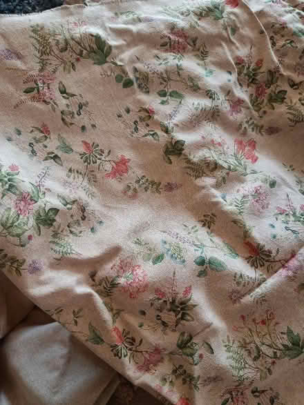 Photo of free Beige and floral upholstery fabric (Hove BN3) #2
