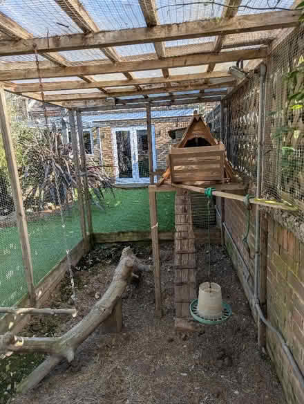 Photo of free Chicken coop (Whitehawk BN2) #4