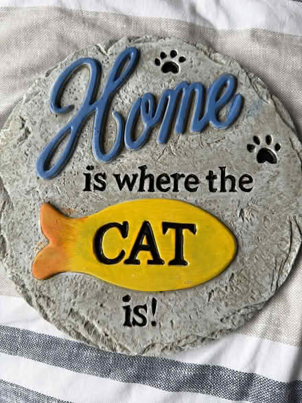 Photo of free House cat sign (Barking IG11) #1