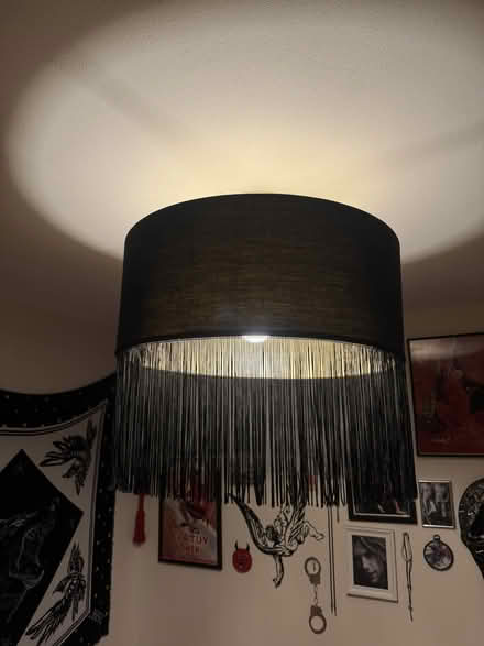 Photo of Black ceiling light shade (Bow E3) #1