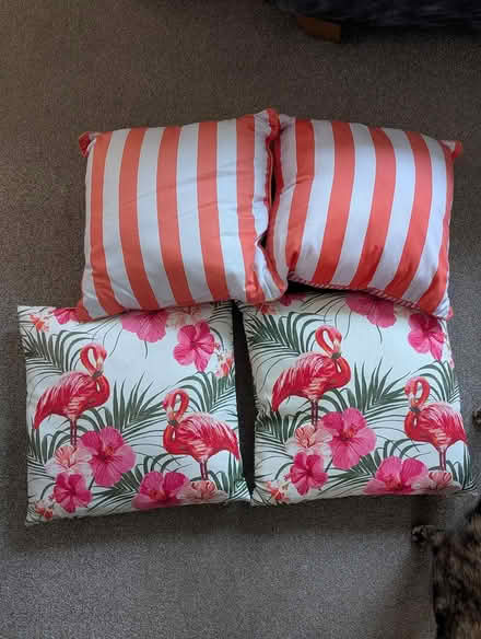 Photo of free 4 Outdoor cushions (Stewartby MK43) #1