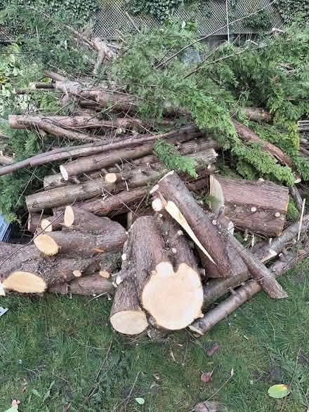 Photo of free logs (BR2) #1