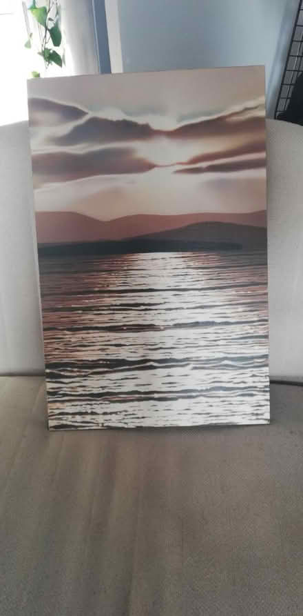 Photo of free Picture (Selhurst SE25) #1