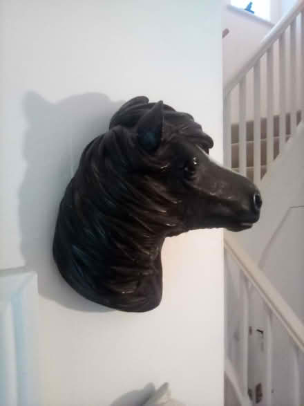 Photo of free 'orses 'eads (North Worle BS22) #1