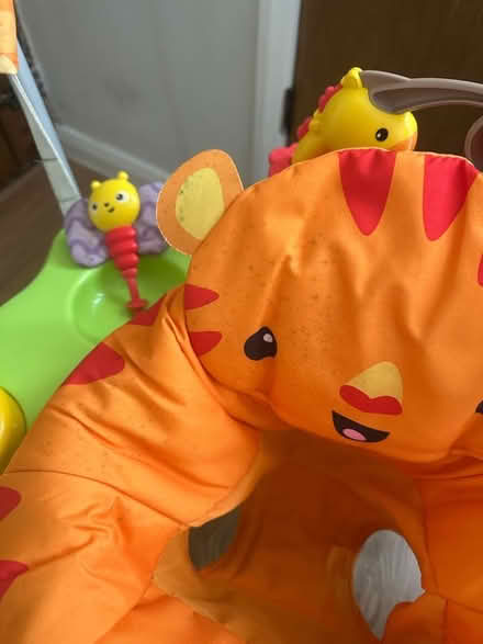 Photo of free Jumperoo (Ware SG12) #2