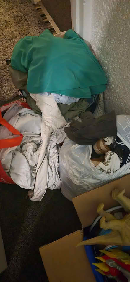 Photo of free Ladies size 12 clothes (Windygates KY8) #1