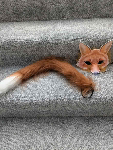 Photo of free Fox mask and Tail (Beulah Hill SE19) #1