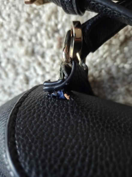 Photo of free Synthetic bag (Bernardo & Iowa, Sunnyvale) #2