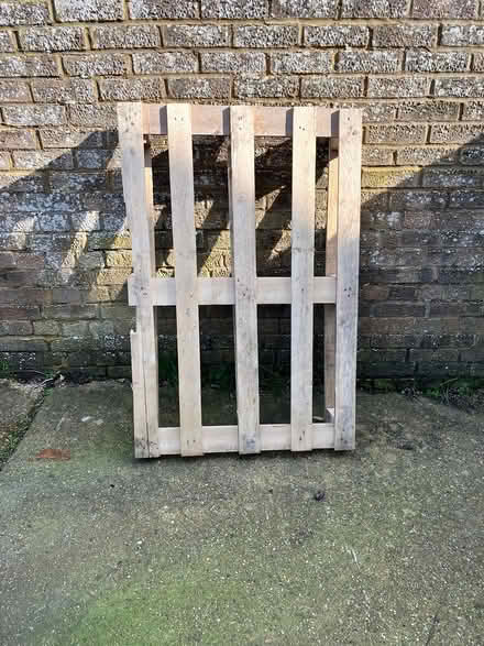 Photo of free Wooden pallet (Shoreham by Sea) #1