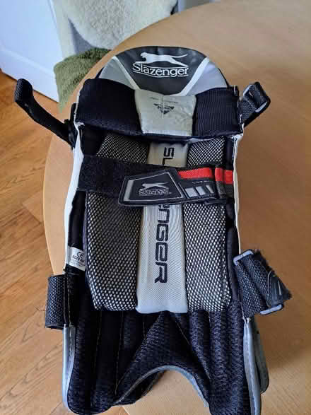 Photo of free Boys cricket pads (Lemsford AL8) #1