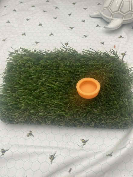 Photo of free Fake grass & gecko drinking dish (Ware SG12) #1
