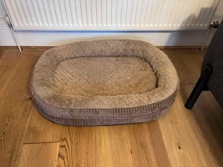 Photo of free Dog bed - never used (G12 9RY - Hyndland) #1