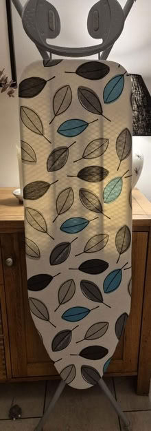 Photo of free Ironing board (Barnes) #1