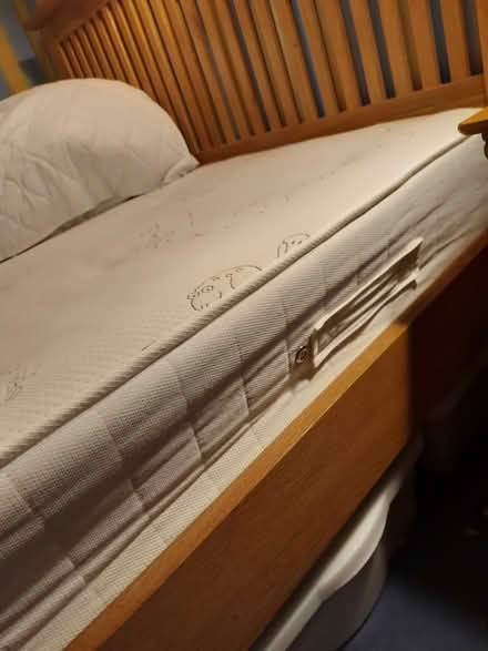 Photo of free Single divian bed and mattress (Bebington CH63) #2