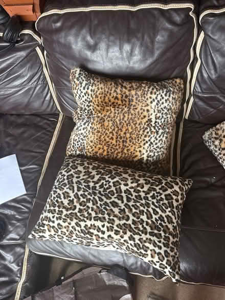 Photo of free Two leopard print feather pillow (Sg13 7en) #1