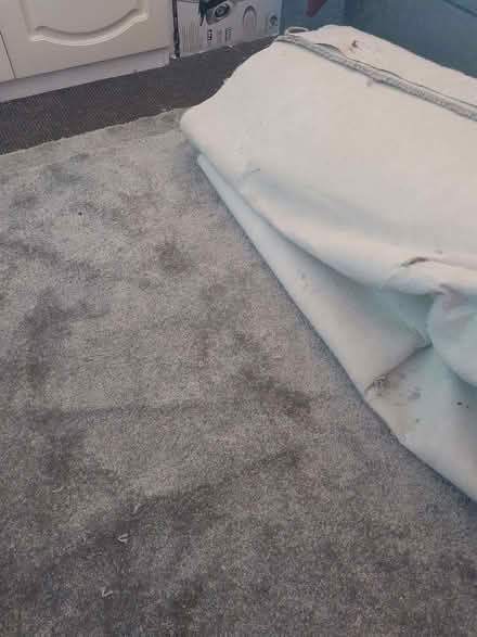 Photo of free New carpet (Wigmore HR6) #1