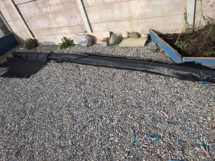 Photo of free Terran weed suppressant (Offaly) #1