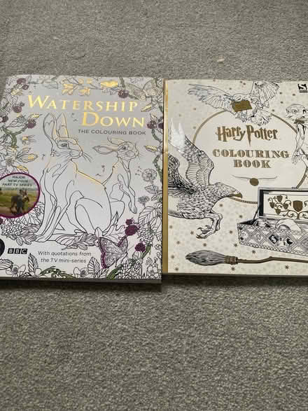 Photo of free 2 colouring books (Earley RG6) #1