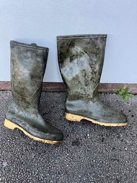 Photo of free Dunlop wellies size 39 (Leckhampton) #1