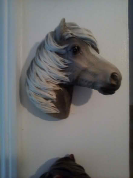 Photo of free 'orses 'eads (North Worle BS22) #4