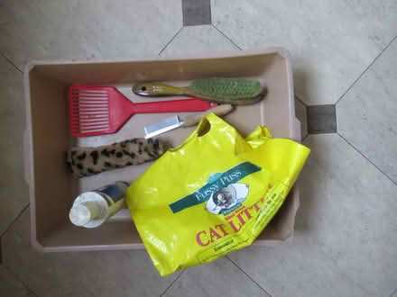Photo of free Cat litter tray (London Fields, E8) #2